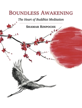 Paperback Boundless Awakening: The Heart of Buddhist Meditation Book