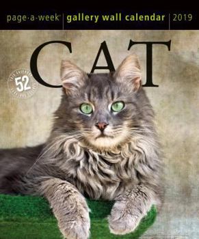 Calendar Cat Page-A-Week Gallery Wall Calendar 2019 Book