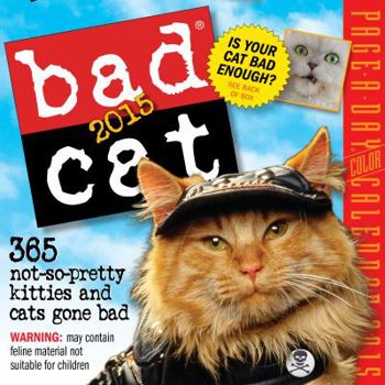 Bad Cat 2015 Page-A-Day Calendar