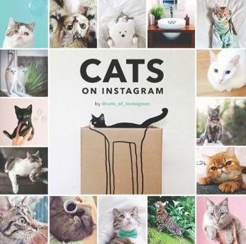Hardcover Cats on Instagram Book