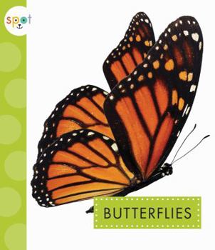 Butterflies - Book  of the Spot Creepy Crawlies