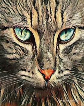 Picasso Style Sketchbook: Picasso Style Cat (4), 8" x 10" - Drawing Sketchbook, Unlruled Notebook, Drawing Paper -[Sketch book]