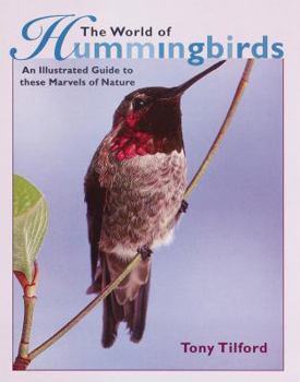 Hardcover The World of Hummingbirds Book