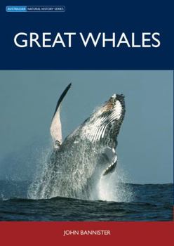 Paperback Great Whales Book