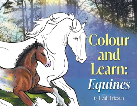 Paperback Colour and Learn: Equines Book