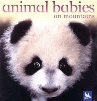 Animal Babies On Mountains (Animal Babies) - Book  of the Animal Babies