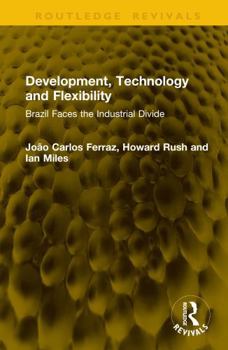 Hardcover Development, Technology and Flexibility: Brazil Faces the Industrial Divide Book