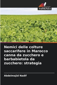 Nemici delle colture saccarifere in Marocco canna da zucchero e barbabietola da zucchero: strategia
