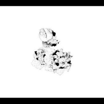 Music - CD Capacious Aeration Book