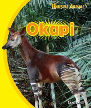 Okapi - Book  of the Unusual Animals