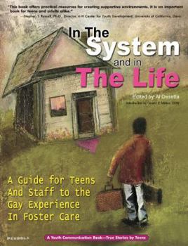 Paperback In the System and in the Life: A Guide for Teens and Staff to the Gay Experience in Foster Care Book