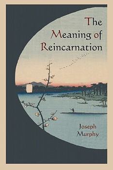 Paperback The Meaning of Reincarnation Book