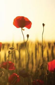 The Hacker-Proof Internet Address Password Book - Poppy Sunset : Alphabetical Website Username and Password Organizer Logbook Notebook