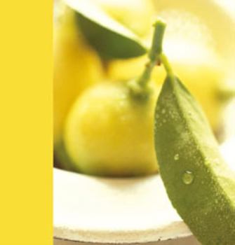 Hardcover Lemons & Limes Journal Book