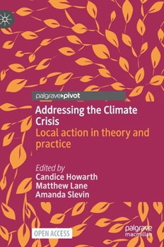 Hardcover Addressing the Climate Crisis: Local Action in Theory and Practice Book
