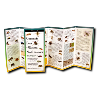 Misc. Common Bees of Western North America Book