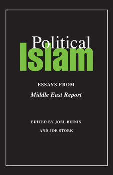 Paperback Political Islam: Essays from Middle East Report Book