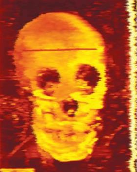 Paperback graves Book