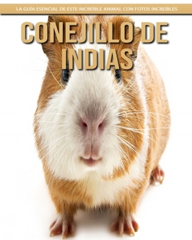 Conejillo de indias: La guía esencial de este increíble animal con fotos increíbles