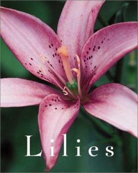 Hardcover Lilies Book