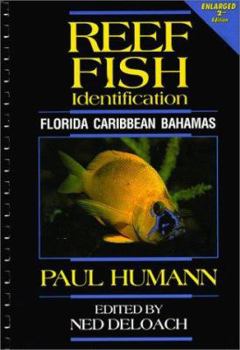 Paperback Reef Fish Identification: Florida, Caribbean and Bahamas Book