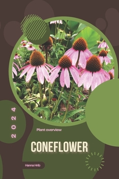 Coneflower: Simply beginners guide