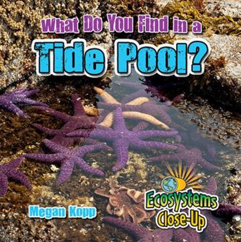 Hardcover What Do You Find in a Tide Pool? Book