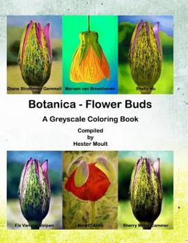 Botanica - Flower Buds : A Greyscale Coloring Book