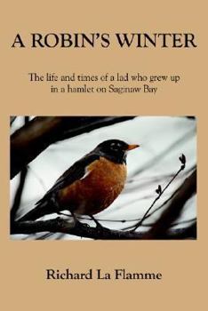 Paperback A Robin's Winter: The life and times of a lad who grew up in a hamlet on Saginaw Bay Book
