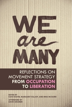 Paperback We Are Many: Reflections on Movement Strategy from Occupation to Liberation Book