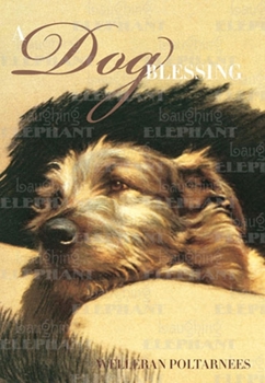 Hardcover A Dog Blessing Book