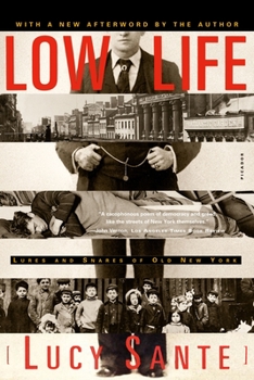 Paperback Low Life: Lures and Snares of Old New York Book