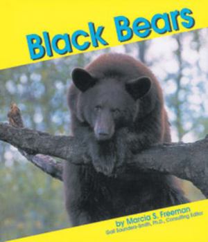 Paperback Black Bears Book