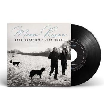 Vinyl Moon River / How Could We Know Book