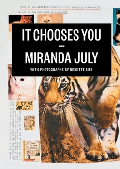 Paperback It Chooses You Book