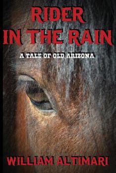 Paperback Rider in the Rain Book