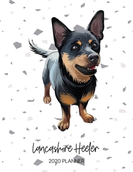 Paperback Lancashire Heeler 2020 Planner: Dated Weekly Diary With To Do Notes & Dog Quotes Book