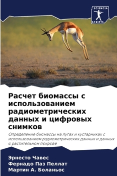Paperback Расчет биомассы с исполь [Russian] Book