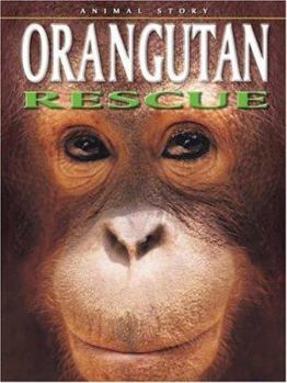 Paperback Orangutan Rescue Book