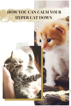 Paperback How You Can Calm Your Hyper Cat Down: Your Thoughts on Hyper Cats? Book