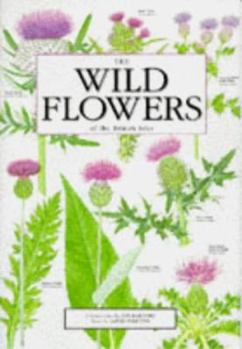 Hardcover The Wild Flowers of the British Isles Book