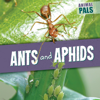 Paperback Ants and Aphids Book