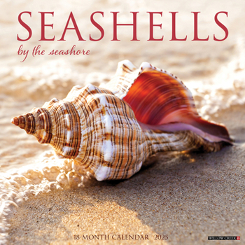 Calendar Seashells 2025 12 X 12 Wall Calendar Book
