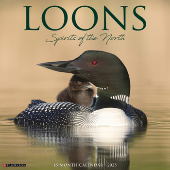Calendar Loons 2025 12 X 12 Wall Calendar Book