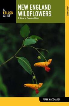 Paperback New England Wildflowers: A Guide To Common Plants (Wildflower Series) Book