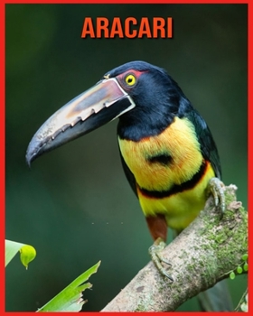 Paperback Aracari: Amazing Facts about Aracari Book