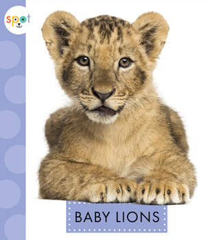 Baby Lions - Book  of the Spot Baby Animals