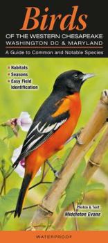Pamphlet Birds of the Western Chesapeake: Washington DC & Maryland: A Guide to Common & Notable Species Book