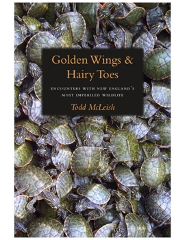 Hardcover Golden Wings & Hairy Toes: Encounters with New England's Most Imperiled Wildlife Book