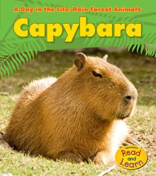 Hardcover Capybara Book